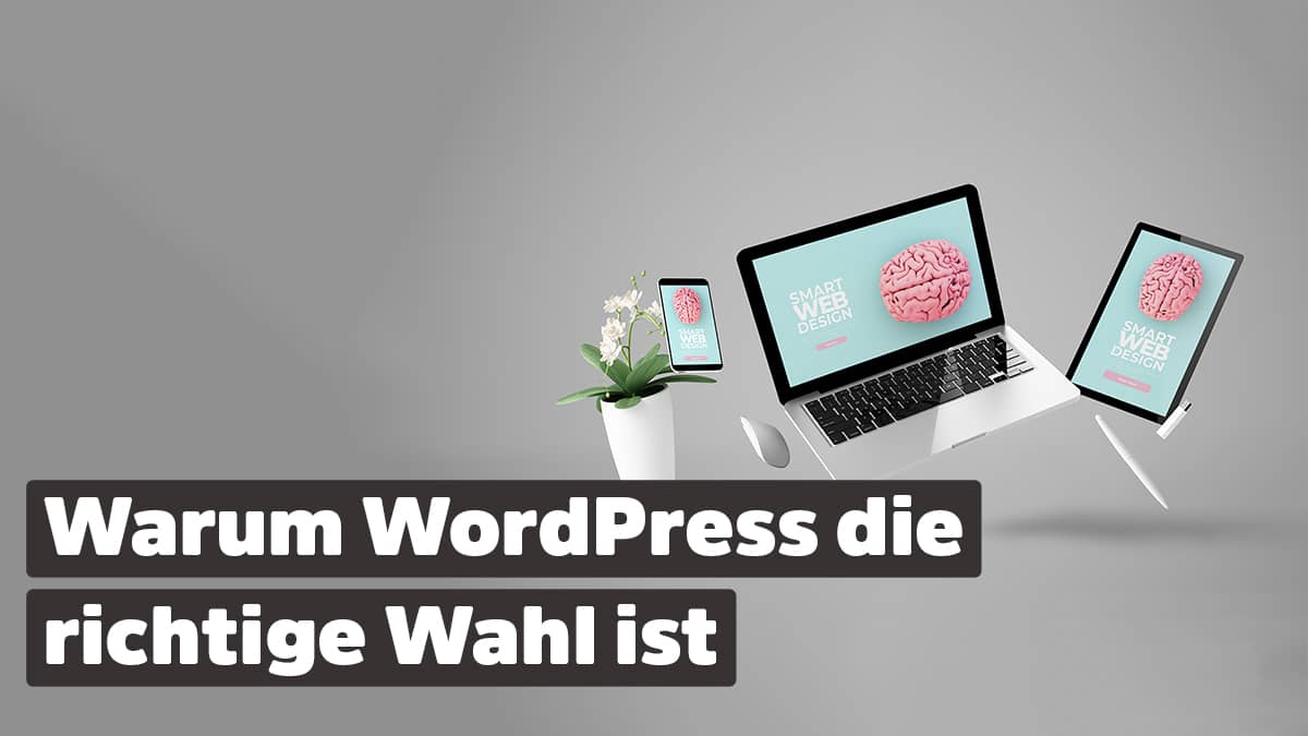 Warum WordPress
