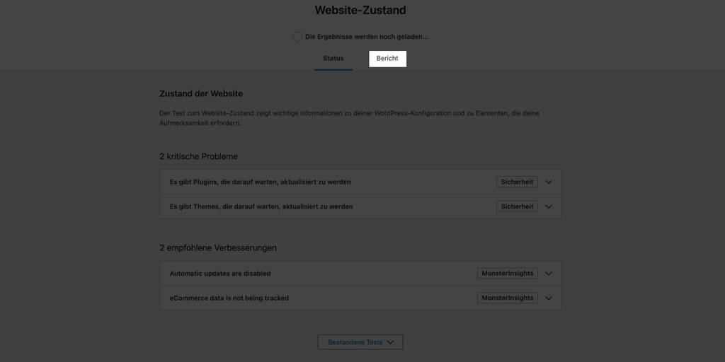 Der Bereich „Website Zustand“ zeigt dir Probleme mit deiner WordPress Installation