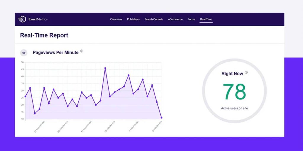 Exact Metrics Plugin for WordPress