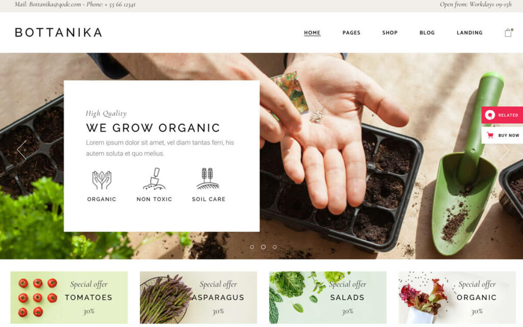 Bottanika, one of the top WordPress themes for grocery stores