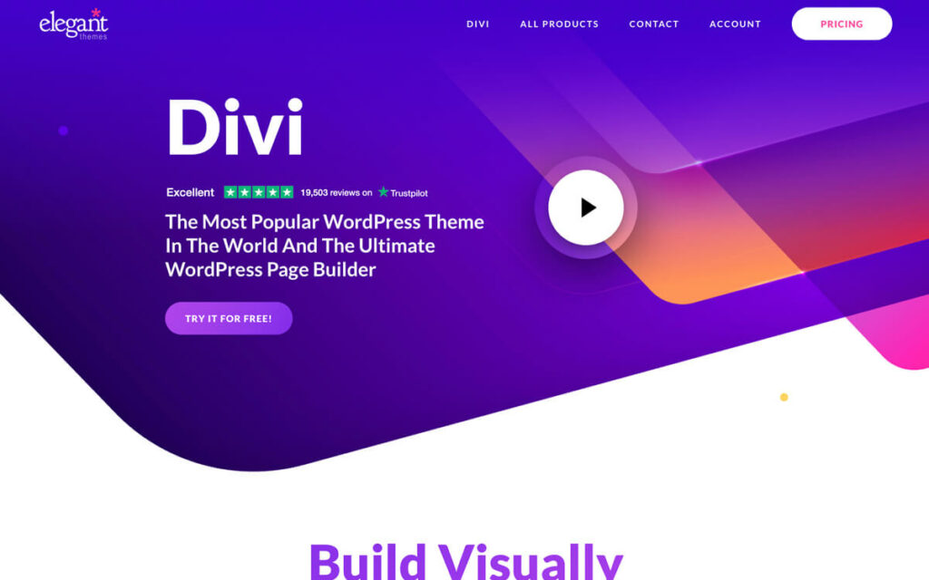 Divi Theme support website